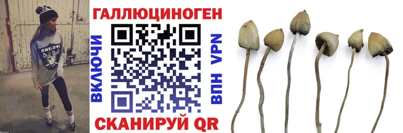 Псилоцибиновые грибы MAGIC MUSHROOMS  Купить  Струнино 